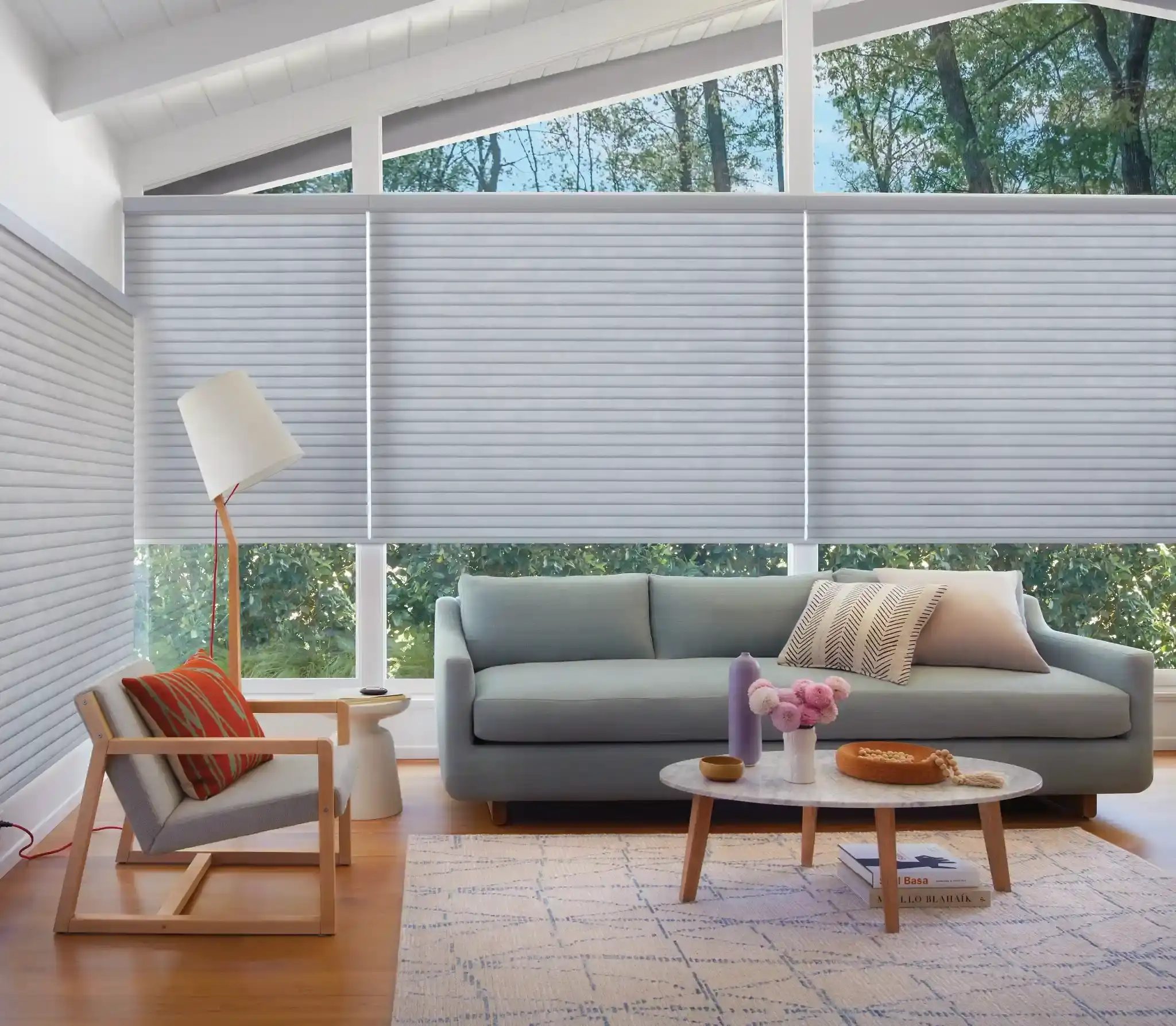 Window covering on living room window